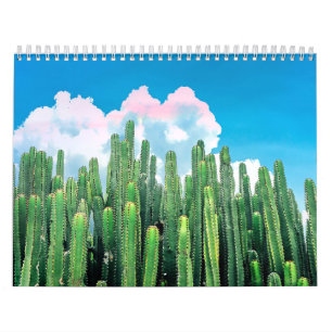 Cactus Summer Kalender