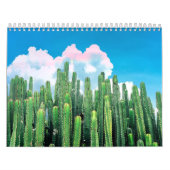 Cactus Summer Kalender (Titelbild)