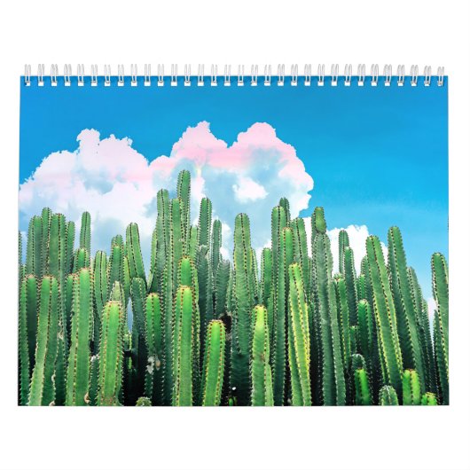 Cactus Summer Kalender (Titelbild)