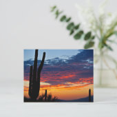 Cactus Sunrise Postkarte (Stehend Vorderseite)