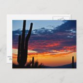 Cactus Sunrise Postkarte (Vorne/Hinten)