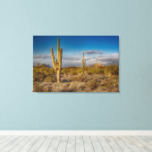 Cactus Sunset in Arizona Leinwanddruck (Insitu (Holzboden))