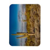 Cactus Sunset in Arizona Magnet (Vertikal)