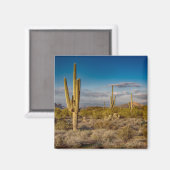 Cactus Sunset in Arizona Magnet (Vorderseite/Rückseite)