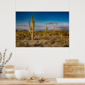 Cactus Sunset in Arizona Poster (Küche)