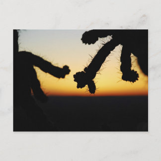 Cactus Sunset - Orange Postkarte