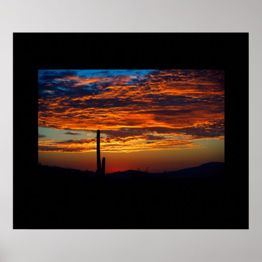 Cactus Sunset Poster (Vorne)