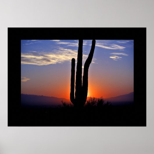Cactus Sunset Poster (Vorne)