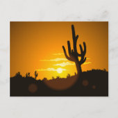 Cactus Sunset Postkarte (Vorderseite)