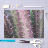 Cactus Tissue Paper Seidenpapier (Handwerk)