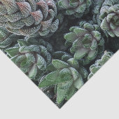 Cactus Tissue Paper Seidenpapier (Ausschnitt)