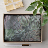 Cactus Tissue Paper Seidenpapier (Geschenk)