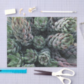 Cactus Tissue Paper Seidenpapier (Handwerk)