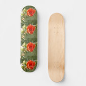 Cactus Tough and Beautiful Skateboard (Vorderseite)