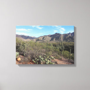Cactus und Catalina Mountains in Tucson, Arizona Leinwanddruck