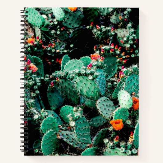 Cactus Uni Notebook Notizblock (Vorderseite)