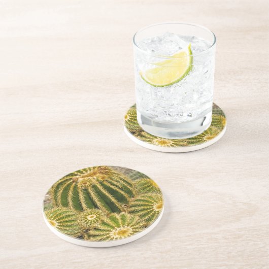 Cactus Untersetzer (Seite)