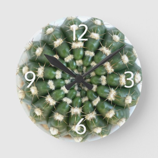 Cactus wall uhr (Vorderseite)