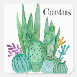Cactus watercolor cacti Blume Blumenwüste Quadratischer Aufkleber