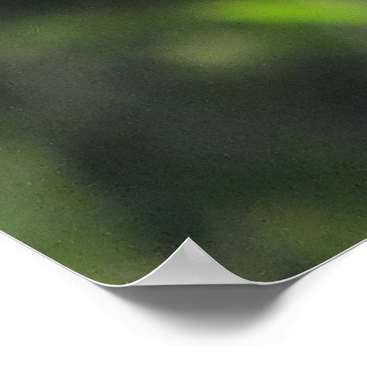 Cactus Wren auf Ocotillo Poster (Ecke)