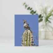 Cactus Wren Postkarte (Stehend Vorderseite)