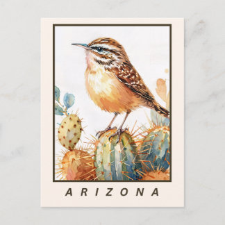 Cactus Wren Wüsten Vogel Arizona Bundesstaat Postkarte