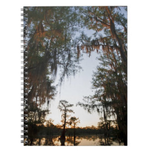 Caddo Lake at sunrise Notizblock