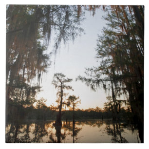 Caddo Lake bei Sonnenaufgang Fliese