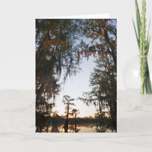 Caddo Lake bei Sonnenaufgang Karte (Vorderseite)