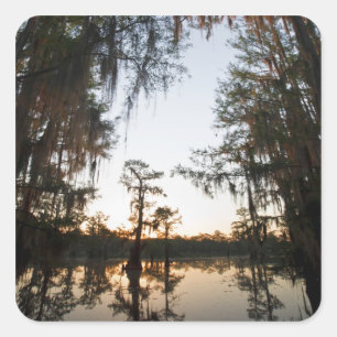 Caddo Lake bei Sonnenaufgang Quadratischer Aufkleber
