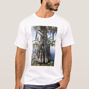 Caddo Lake, Jagdkanzel T-Shirt