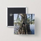 Caddo Lake, Jagdversteck Button (Vorne & Hinten)