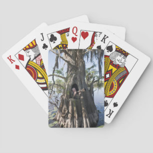 Caddo Lake, Jagdversteck Spielkarten