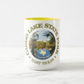 Caddo Lake SP Tasse (Zentrum)