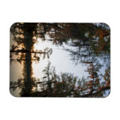 Caddo-See bei Sonnenaufgang Magnet (Horizontal)