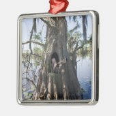 Caddo-See, Jagd blind Ornament Aus Metall (Links)