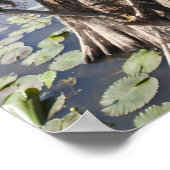 Caddo-See, Jagd blind Poster (Ecke)