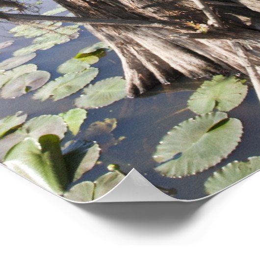 Caddo-See, Jagd blind Poster (Ecke)