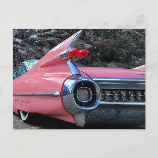 Caddy Fins Postkarte (Vorderseite)