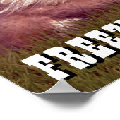 Caddyshack | Freeze, Gopher! Poster (Ecke)