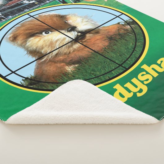 Caddyshack Poster Sherpadecke (3/4)