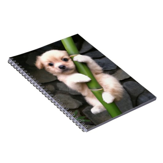 Caderno EspirGaejook 개 죽 이 Notizblock (Rechte Seite)