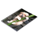 Caderno EspirGaejook 개 죽 이 Notizblock (Linke Seite)