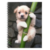 Caderno EspirGaejook 개 죽 이 Notizblock (Vorderseite)