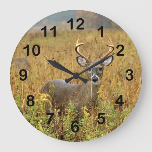 Cades Buchtwhitetail-Dollar-Wanduhr Große Wanduhr (Vorderseite)