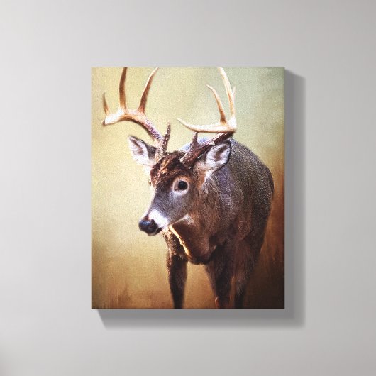 Cades Cove Buck Canvas Print Leinwanddruck (Vorderseite)