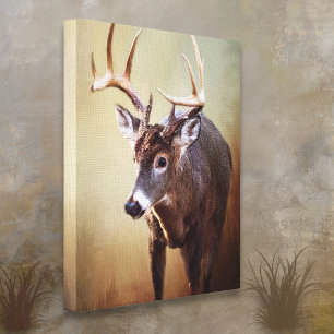 Cades Cove Buck Canvas Print Leinwanddruck