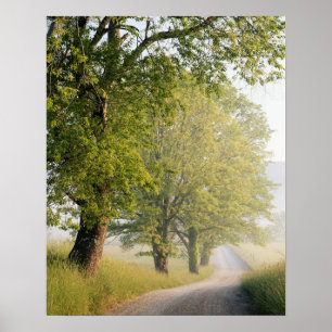 Cades Cove Great Smokey Mountains, TN Poster