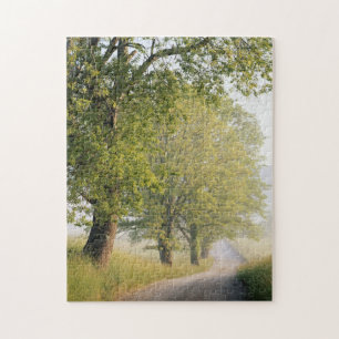 Cades Cove Great Smokey Mountains, TN Puzzle