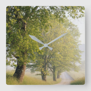 Cades Cove   Great Smokey Mountains, TN Quadratische Wanduhr